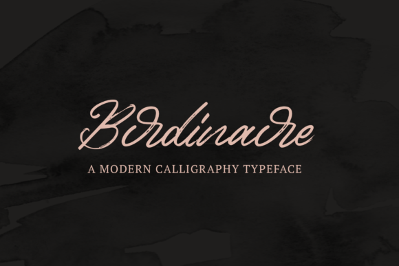 Discovering Birdinaire: A Perfect Script Font for Editorial Design