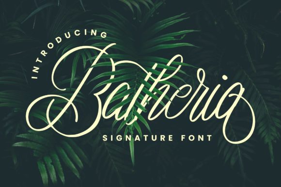Enhance Your Brand with Batheria: A Refined Script Font