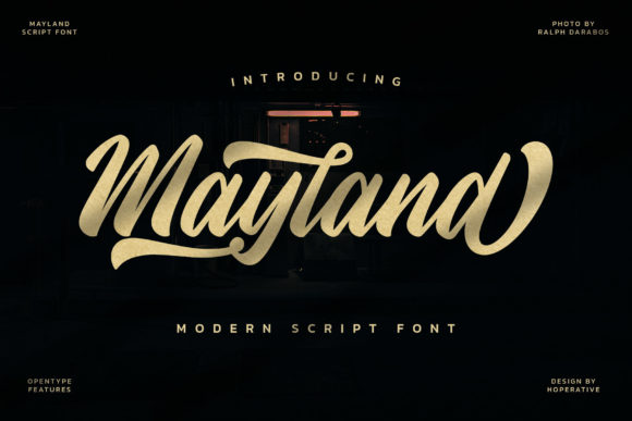 Mayland: A Script Amp Font for Elegant Branding